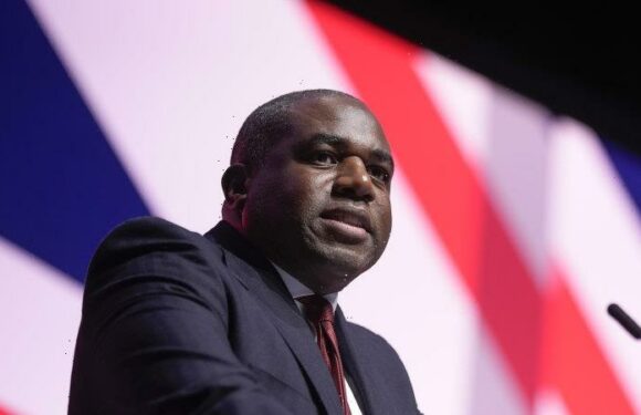 The British MPs borrowing the Albanese playbook in bid to topple Tories