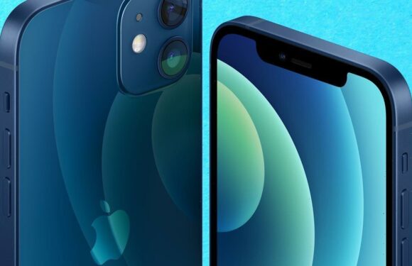 Thinking of buying an iPhone 14? Why the iPhone 12 may be a better bet
