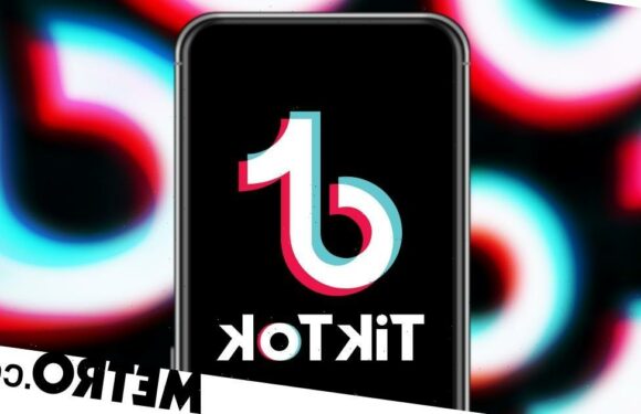TikTok won't promise to cut off 'data and metadata flows to China'