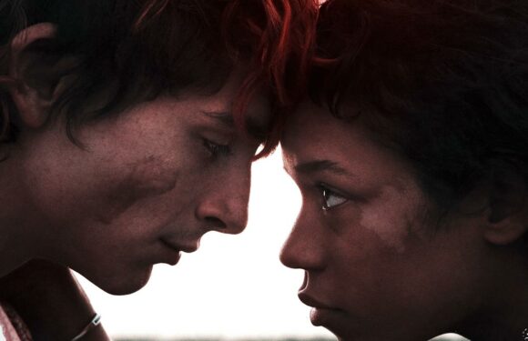 Trailer Revealed for Timothee Chalamets New Movie Bones & All