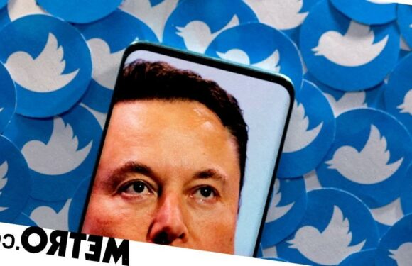 Twitter's lawyers to question Elon Musk next week