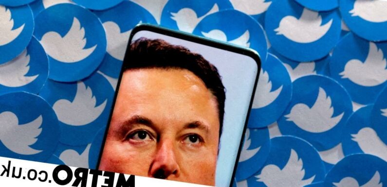 Twitter's lawyers to question Elon Musk next week
