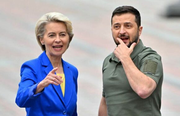 Ukraine successes ‘give hope to the West’ that Russia can be defeated