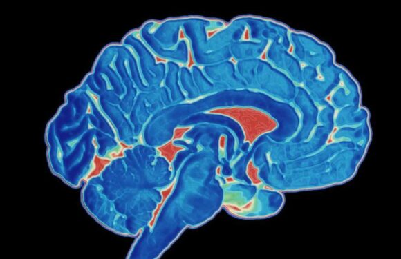Warning to anyone who's had Covid over long-term brain injury | The Sun