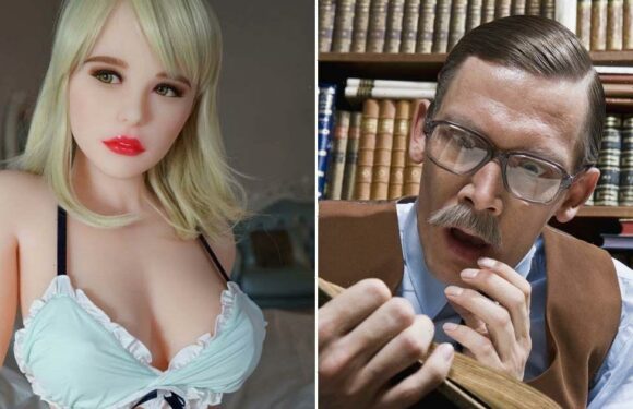 Warning to parents after local library website ‘hijacked’ by sex dolls emporium