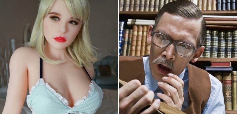 Warning to parents after local library website ‘hijacked’ by sex dolls emporium