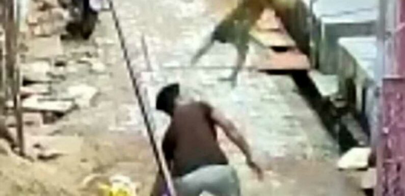 Watch as monkey takes down man in one move & rips his T-shirt after he lobbed rocks at its mates | The Sun