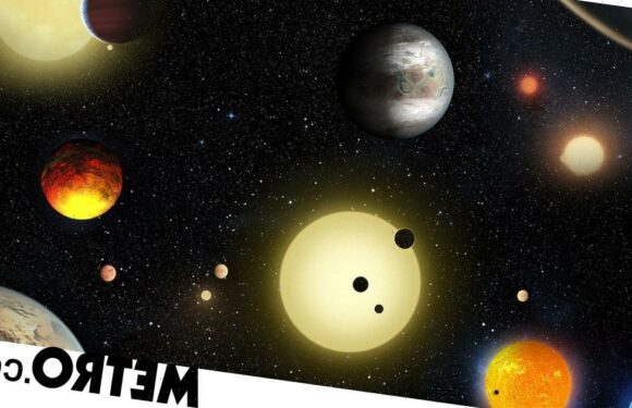 We could have proof of alien life within 25 years, says scientist