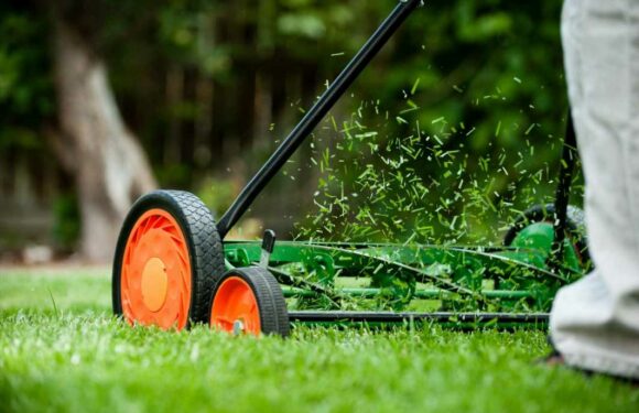 We’re gardening experts, there's a time you should stop cutting your grass ahead of winter & there's not long to wait | The Sun