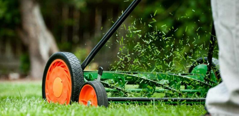 We’re gardening experts, there's a time you should stop cutting your grass ahead of winter & there's not long to wait | The Sun