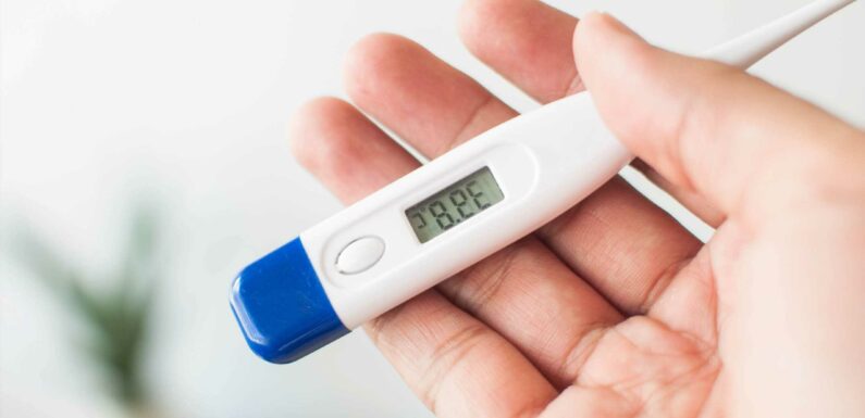 What is a high temperature for an adult and a child and when should I see a doctor? | The Sun