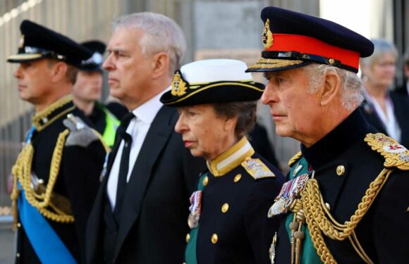 What medals do the Royal Family wear? From Prince Harry's Afghanistan service to Andrew's time in Falklands War | The Sun