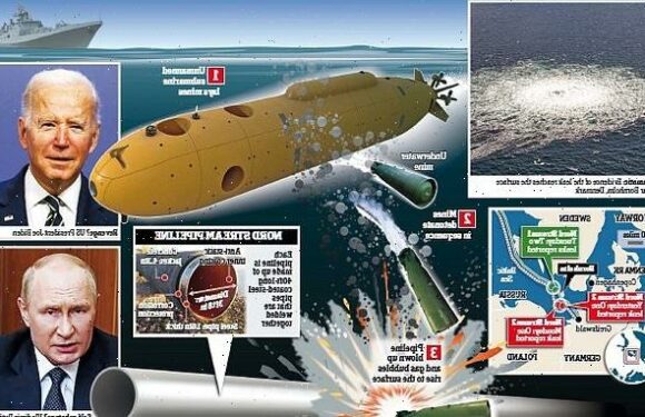 Who DID blow up the Nord Stream gas pipelines… Russia or America?