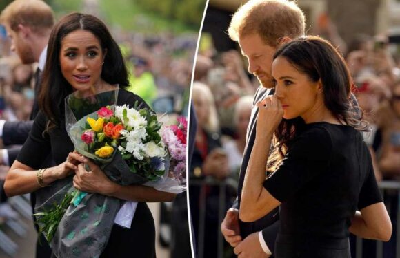 Why Meghan Markle’s awkward flower moment with aides was risky: expert