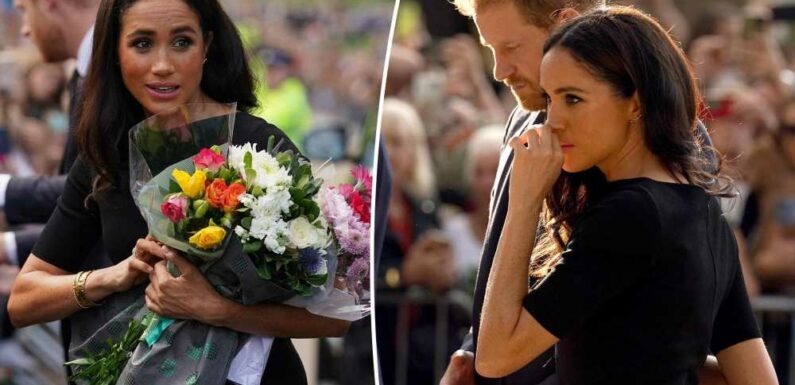 Why Meghan Markle’s awkward flower moment with aides was risky: expert