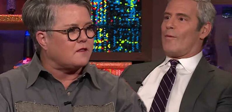 Why Rosie O'Donnell Was Never on Ellen, Wanted to 'Throw a Sock' at Elisabeth Hasselbeck