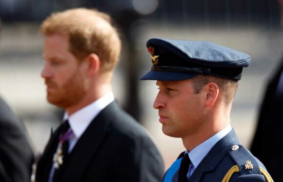 William & Harry relive trauma of mother’s funeral with Queen's coffin walk – but it will help wounds heal, experts say | The Sun