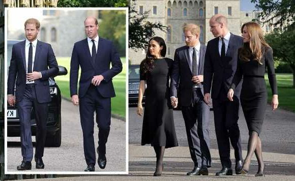 William and Harry broke ingrained dress code before Queen funeral