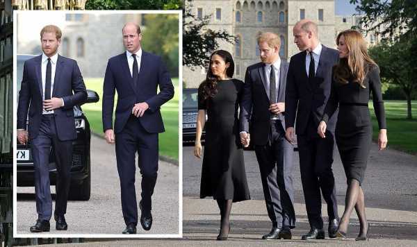 William and Harry broke ingrained dress code before Queen funeral