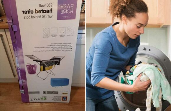 Woman shares £7.99 bargain that will help her keep her electricity bills down during cost of living crisis | The Sun