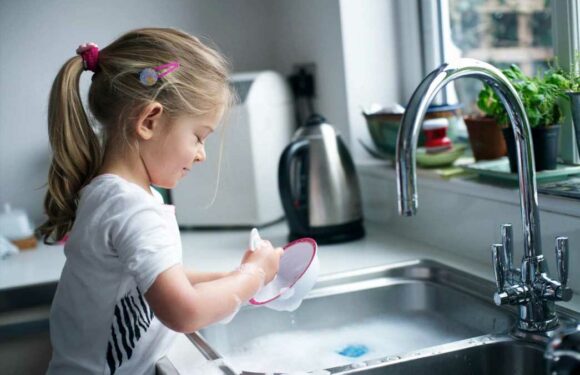 Woman totally divides opinion after revealing how she gets her kids to do house chores & even makes them pay for snacks | The Sun