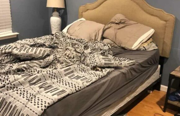 You have the eyes of an eagle if you can spot the sneaky dog hiding in this messy bedroom | The Sun