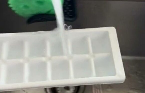 You’ve been using ice cube trays all wrong – you’ll never spill a drop of water again with this method | The Sun