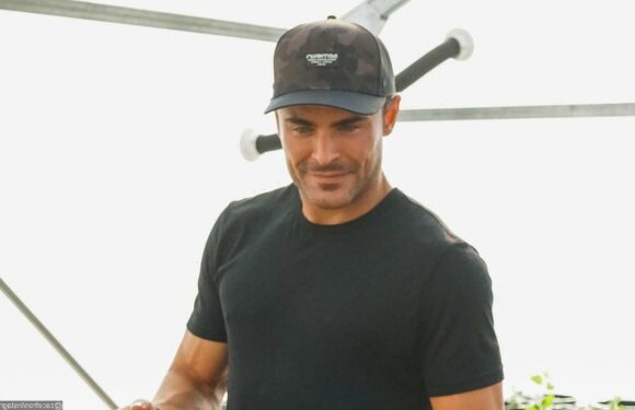 Zac Efron Hits Red Carpet for 1st Time After Shutting Down Plastic Surgery Rumors