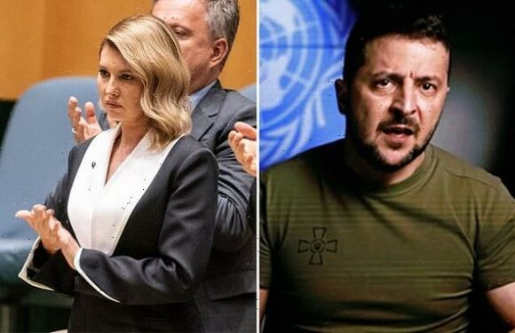 Zelensky demands 'punishment' for invasion of Ukraine speaking to UN