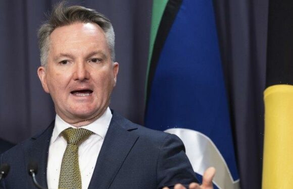 ‘Australia is back’: Chris Bowen spruiks climate agenda on world stage