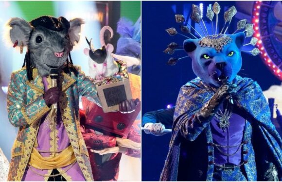 ‘The Masked Singer’ Triple Reveal Shares Identities of Hummingbird, Pi-Rat and Panther: Heres Who They Are