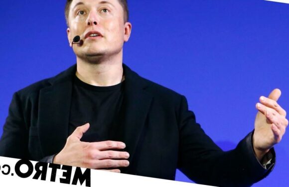 'F*** off': Ukraine's response to Elon Musk's 'peace proposal' on Twitter