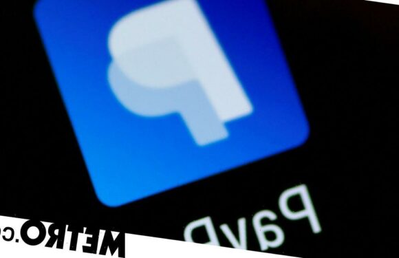 'How to delete PayPal' trends over plans to charge $2,500 for misinformation