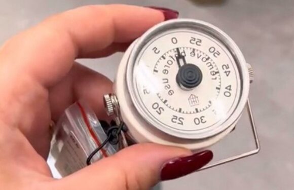 19 Target items for under $10 to make your home look designer on a budget | The Sun