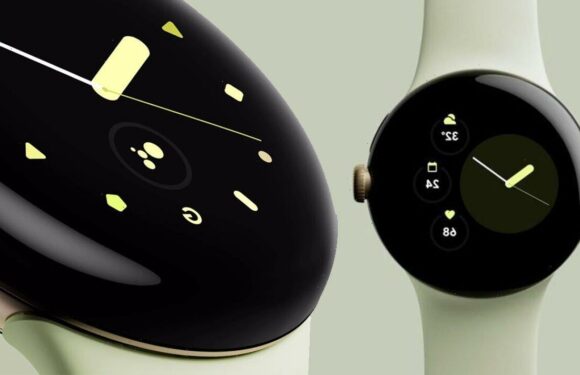 Act quick to get a Pixel Watch for free with the Google Pixel 7 Pro