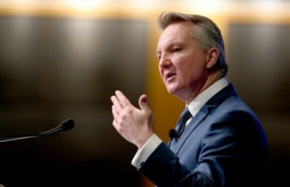 All options on table to address power price pain, Bowen says