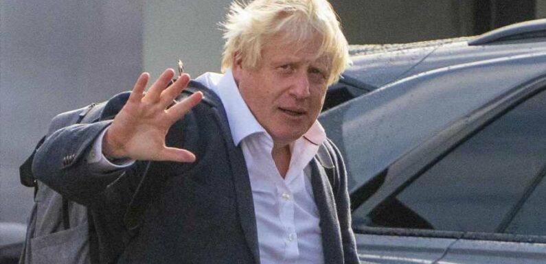 Allies of Boris Johnson are sharing polling to MPs showing only he can win the Red Wall | The Sun