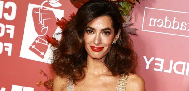 Amal Clooney Says Her Kids Are the "Real Driving Force"  Behind Her Advocacy