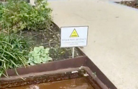 American claims Brits ‘exaggerate everything’ after spotting hazard sign