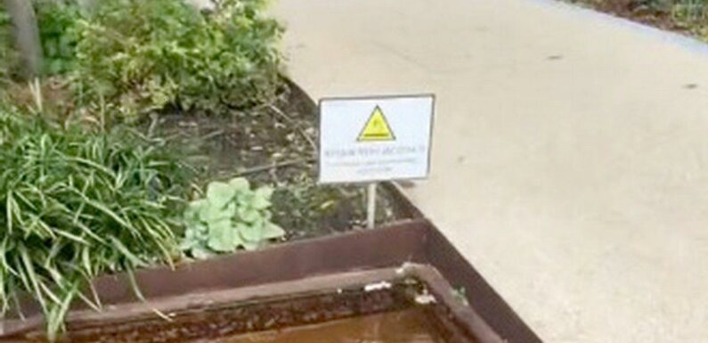 American claims Brits ‘exaggerate everything’ after spotting hazard sign