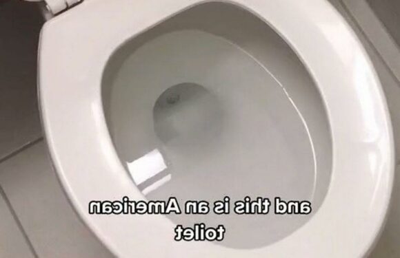 American living in UK notices difference to US toilets – and Brits are disgusted