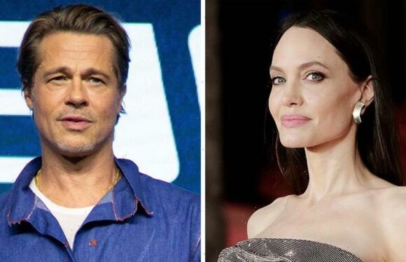 Angelina Jolie Claims Brad Pitt 'Choked' and 'Struck' Kids on 2016 Flight