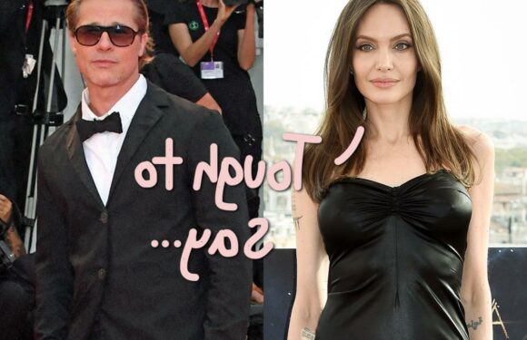 Angelina Jolie's VERY Emotional Email To Brad Pitt About 'Painful' Decision To Sell Winery Resurfaces!