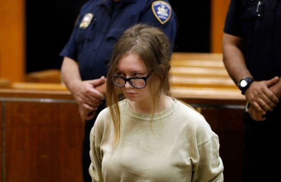 Anna Delvey Hasn't Spoken to Former Friend Rachel Williams Post-Lawsuit