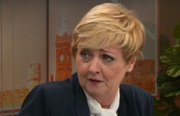 Anne Diamond shuts down bids for UK to rejoining EU single market