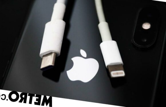 Apple boss concedes firm 'has to comply' with EU order to put USB-C on iPhone
