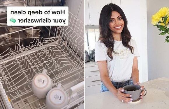 Aussie cleaning queen reveals how she deep cleans her dishwasher