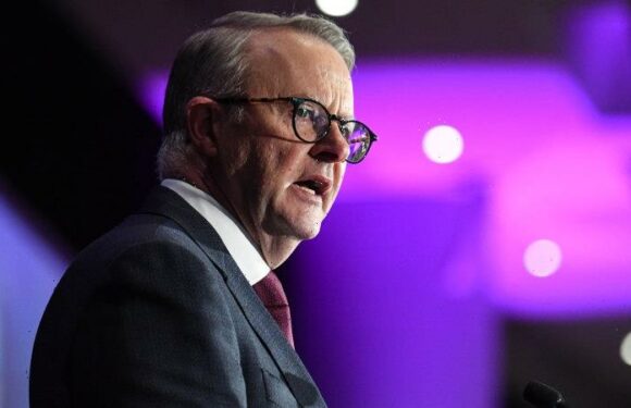 Australia news LIVE: Albanese dismisses tax cut changes; calls for Coalition senator to apologise