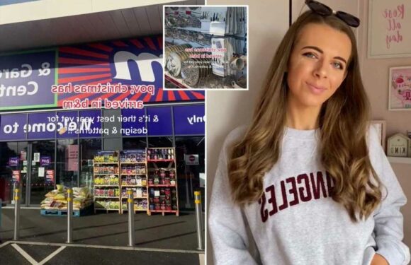 B&M fans go wild for the new Christmas collections – there's crockery, decorations and more & prices start from just 90p | The Sun