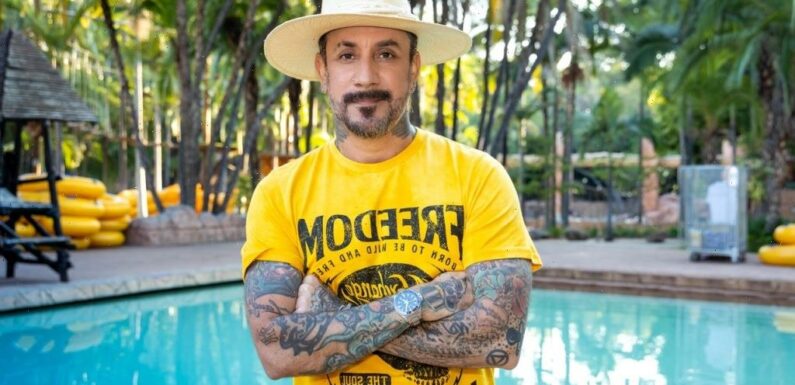Backstreet Boys Star AJ McLean Headed To Mipcom Cannes With The Fashion Hero: A New Kind Of Beautiful; Indigo Entertainment Boards Sales